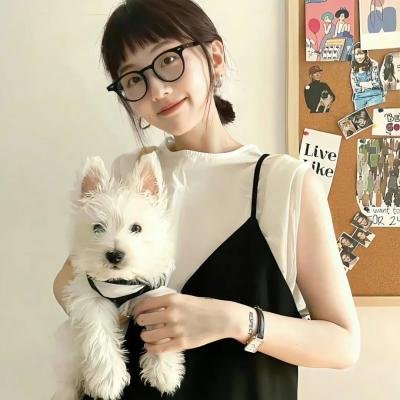 宫先生你家四宝抄家了