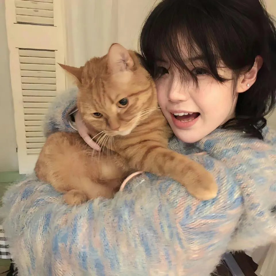 古战场传奇第三季